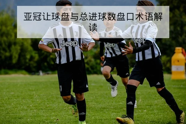 亚冠让球盘与总进球数盘口术语解读
